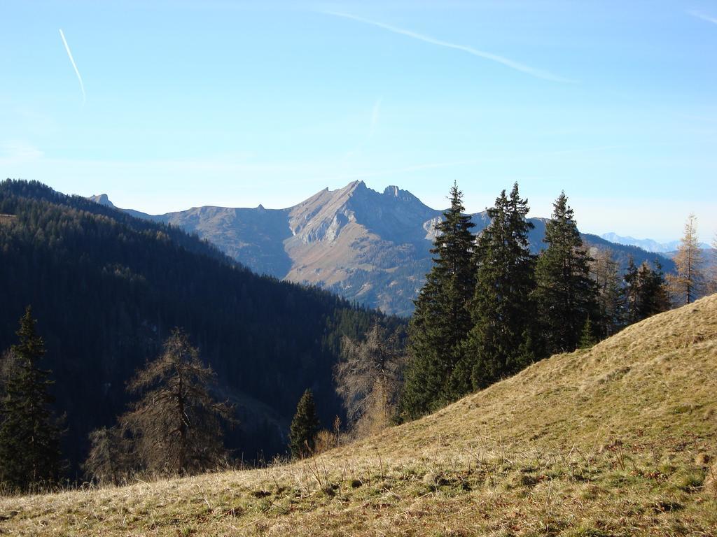 Appartementhaus Schuetzenhof Schied Grossarl Buitenkant foto
